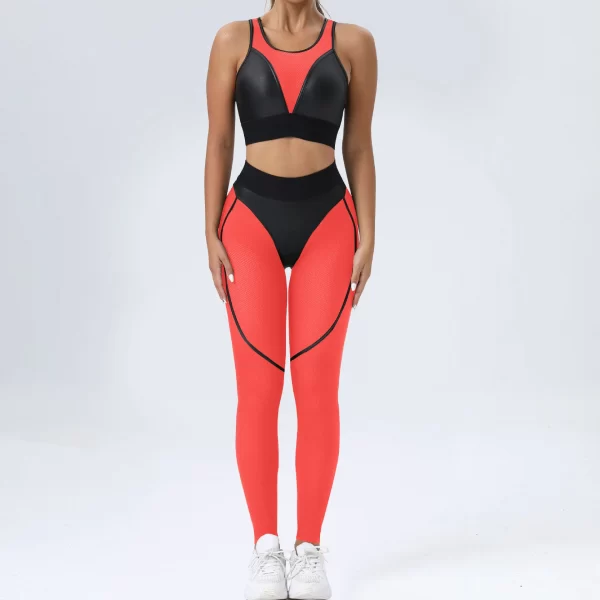 Mesh Patchwork Fitness Sets Wholesale Clothing Sport Sets Women's Sexy Yoga Set