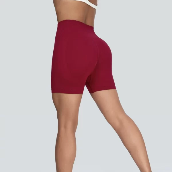 Seamless Shorts Butt Lifting Shorts Workout Clothes Gym Shorts