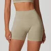 Workout Seamless Outfits Butt Lifting Shorts Fitness Clothing Manufacturer Gym Shorts