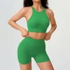 Seamless Ribbed Yoga Set Custom Fitness Apparel Female Sports Vest Wholesale Fit